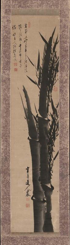 Black Bamboo