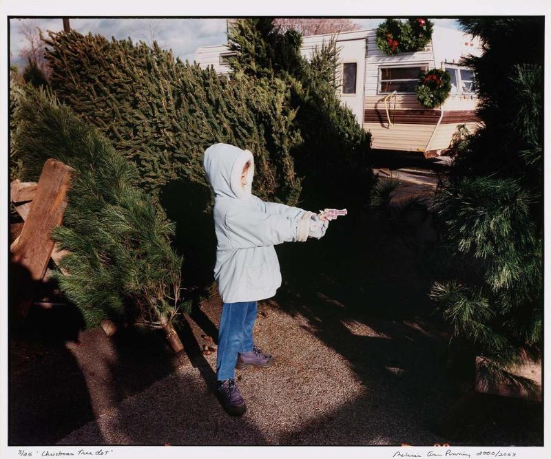 Christmas Tree Lot