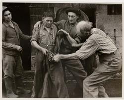 Horse Being Shod, France