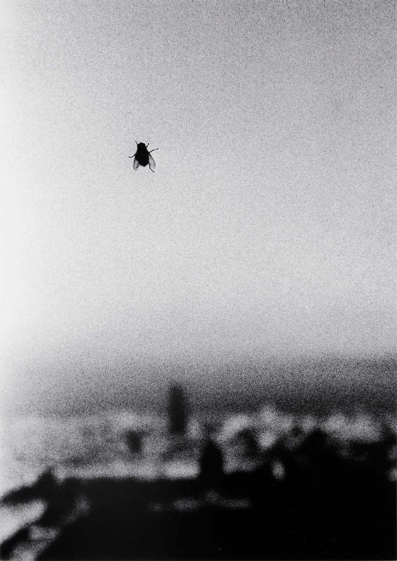 Novembre (#17)