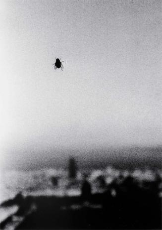 Novembre (#17)