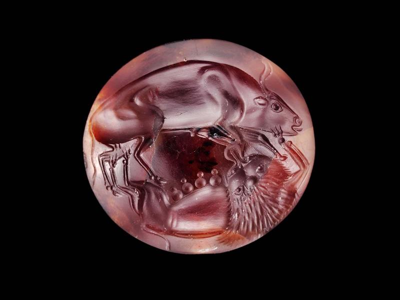 Lentoid seal with a lioness attacking a bull