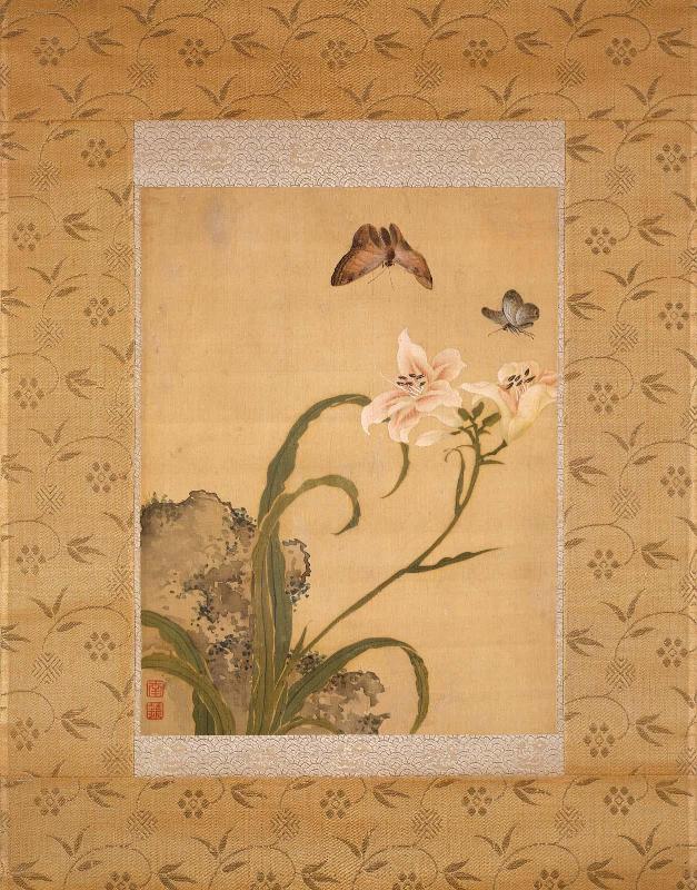 Butterflies above a flowering plant
