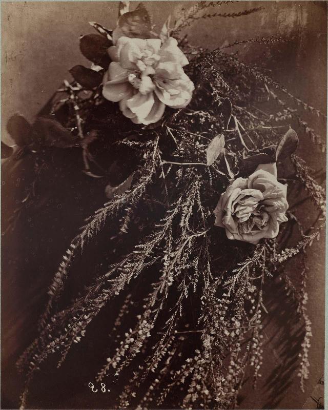 Floral Spray