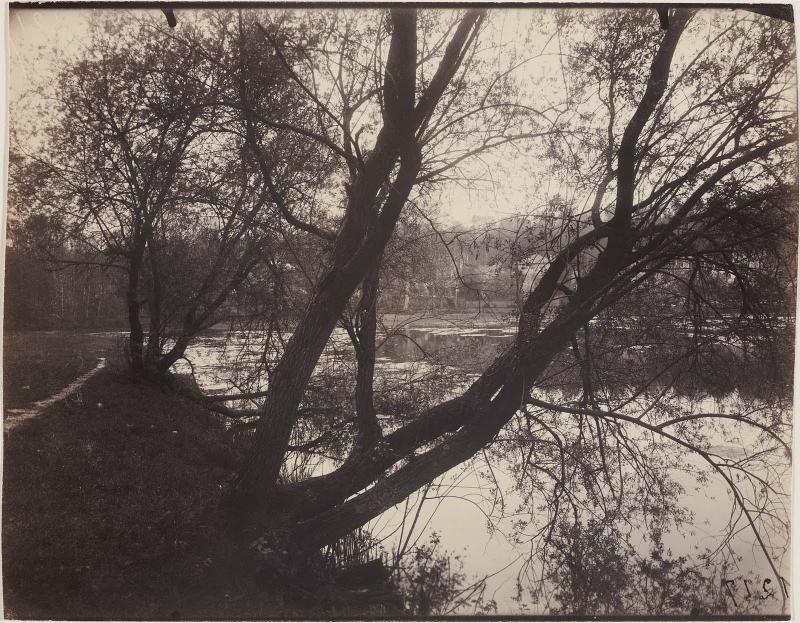 Pond, Ville d'Avray (Étang, Ville d'Avray)