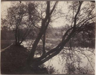 Pond, Ville d'Avray (Étang, Ville d'Avray)