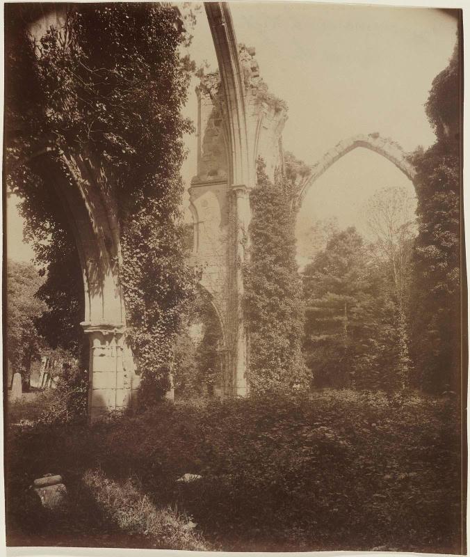Ruines de l'Abbaye des Lys