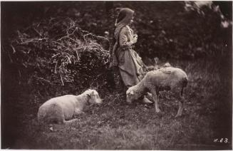 Study of Rural Workers (shepherdess)