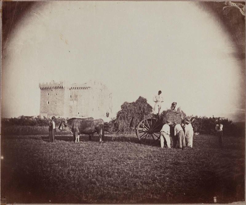 Haying (Castle of Saint-Honorat)