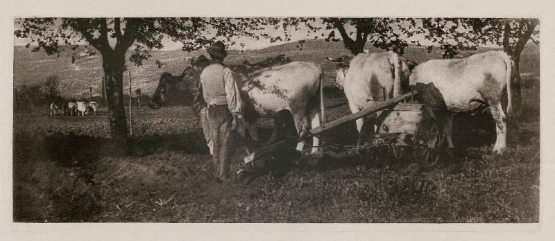 Ploughing Team