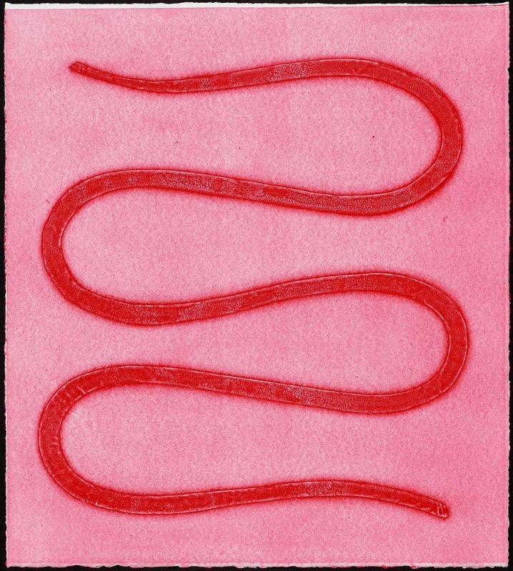 Amherst Serpentine IV
