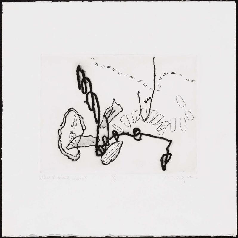 What to Plant Where?