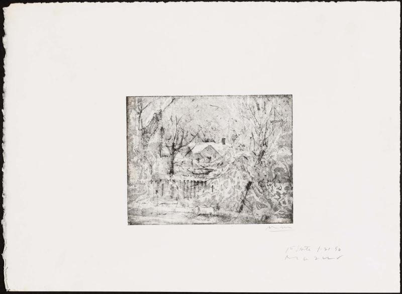 Yard—Winter