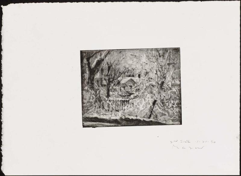 Yard—Winter