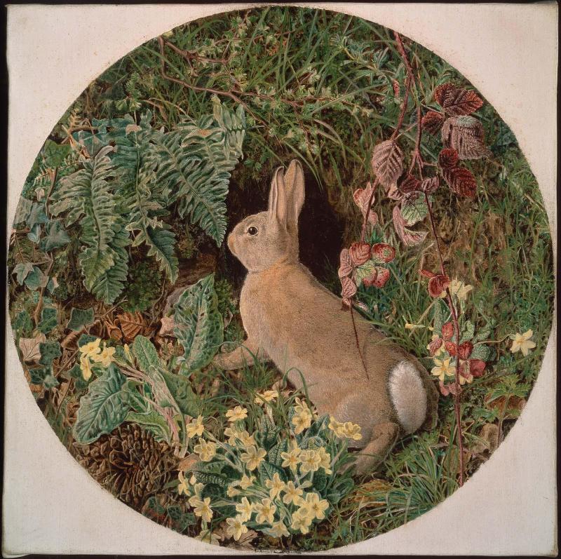 Rabbit amid Ferns and Flowering Plants