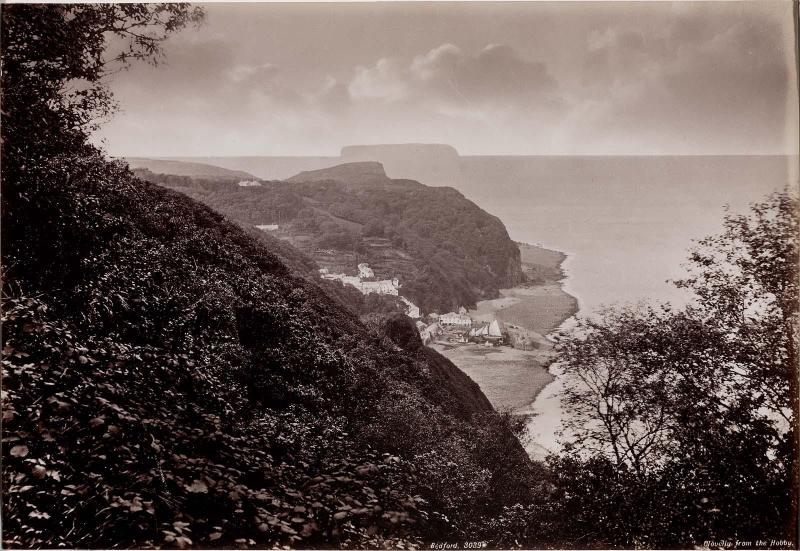 Clovelly from the Hobby (Devonshire)