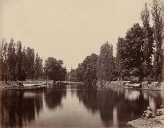 View on Upper Lake