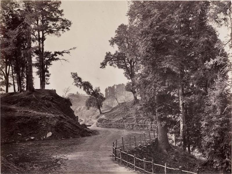 The Mall and Forest Road from Fir Hill