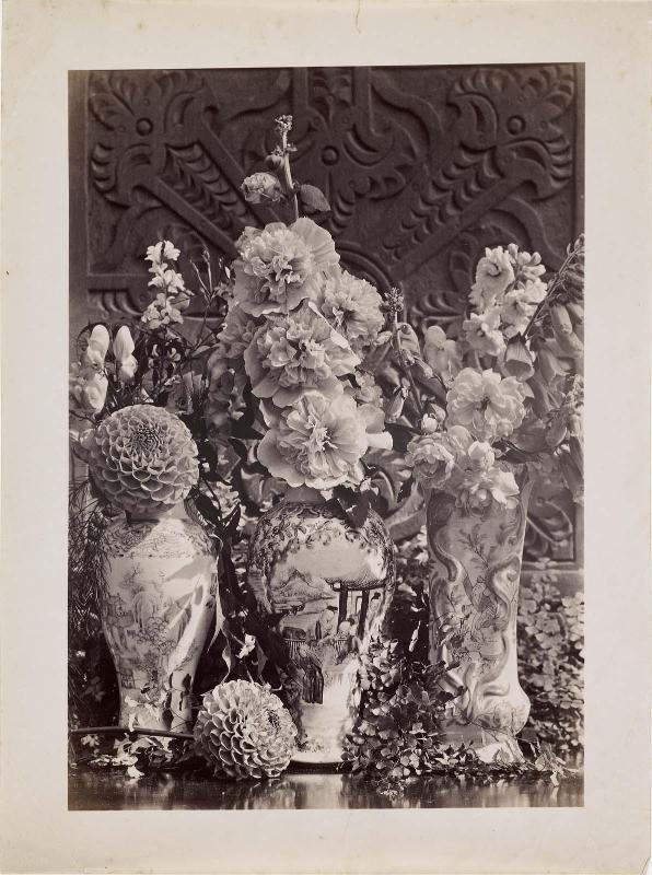 Hollyhocks and other flowers