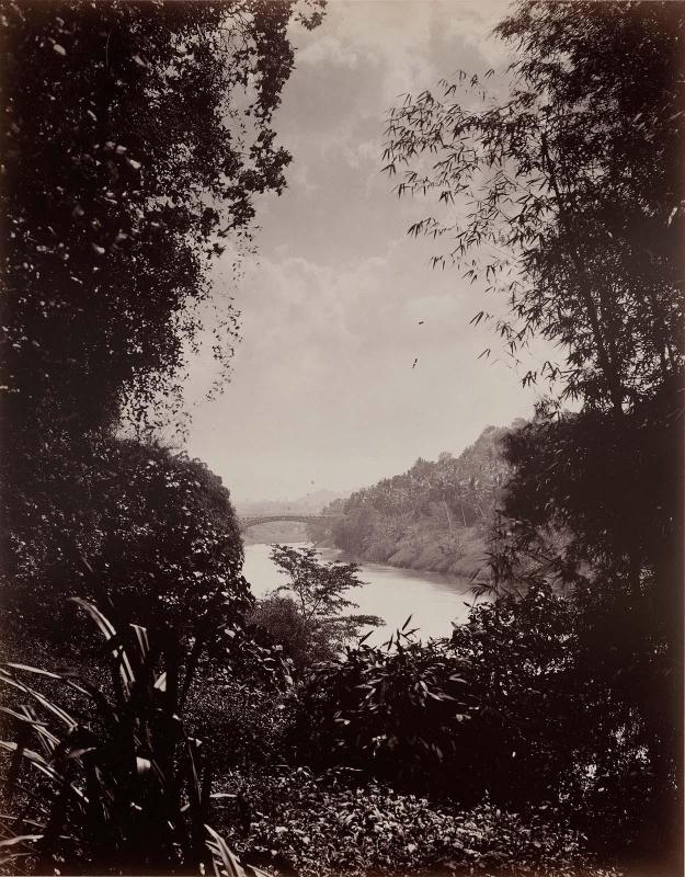 Botanical Gardens at Kandy, Ceylon