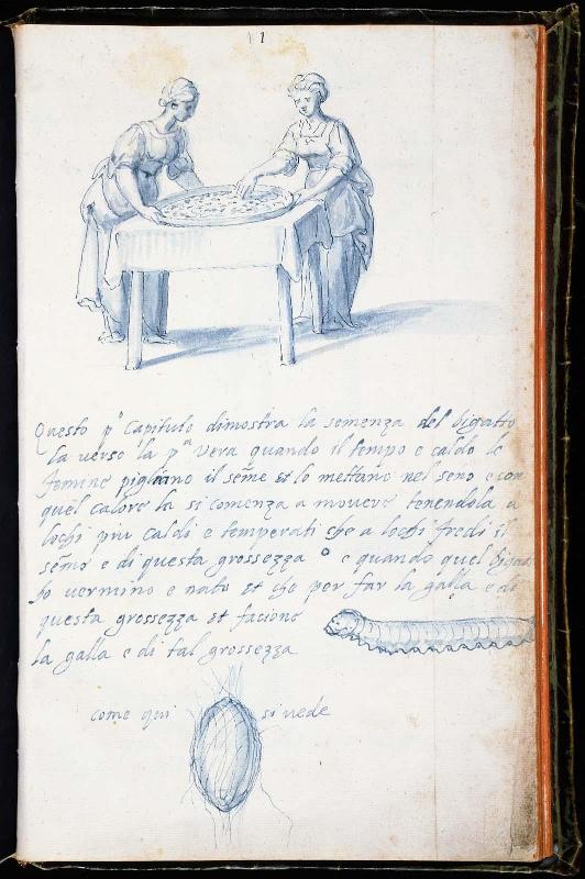 Plate 1: Preparing the Eggs of Silkworms