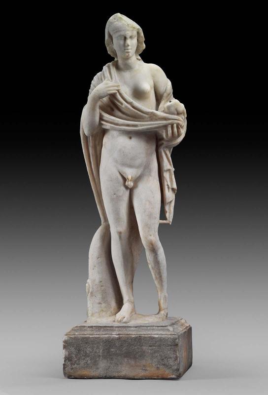 Hermaphrodite