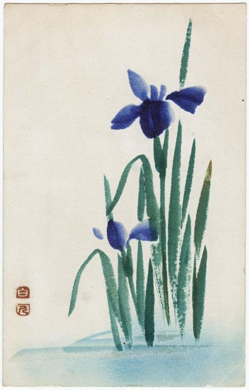 Irises