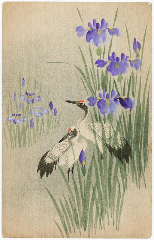 Two Cranes among Irises