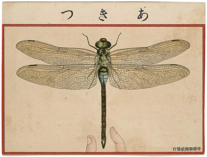 Dragon Fly from Ehagaki sekai