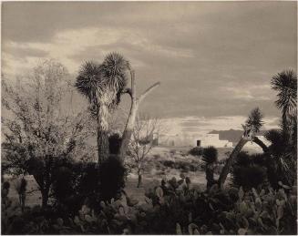 Landscape, near Saltillo, Mexico