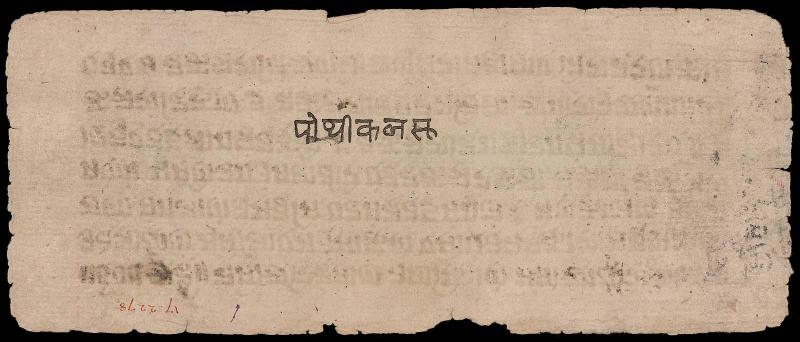 Folio 1