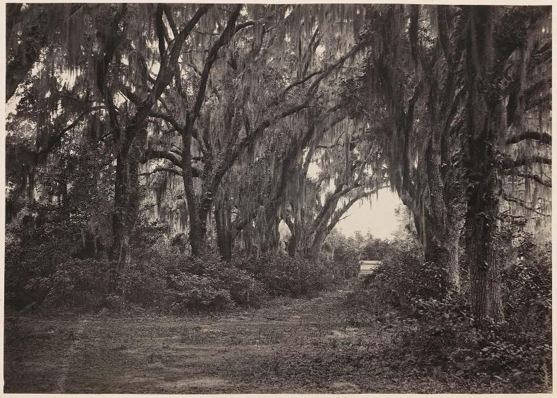 Buen-Ventura, Savannah, Georgia from Photographic Views of Sherman's Campaign, 1866