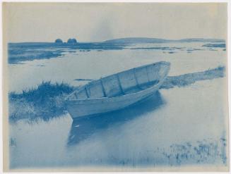 Archival Replicas: Nineteenth-Century Cyanotypes