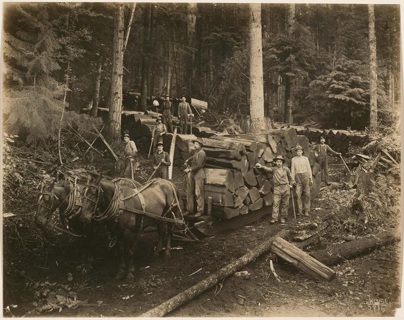 Untitled (Ten Loggers in the Forest)