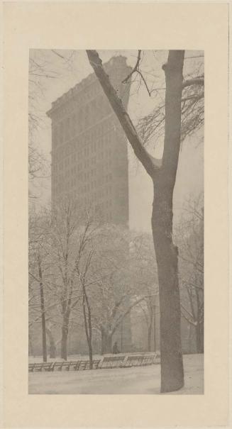The Flatiron (New York)