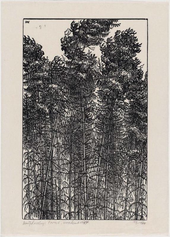 Forest