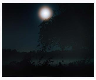 Full Moon, Meadow, Carlisle, Massachusetts