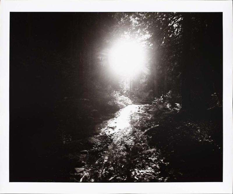 Sun, Papoose Creek, Idaho
