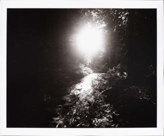 Sun, Papoose Creek, Idaho