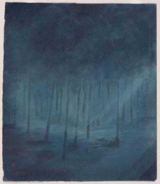 Still in the Forest Night