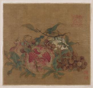 Orange, grapes and pomegranates