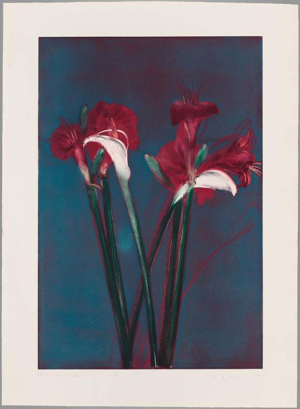 Amaryllis–Calla I
