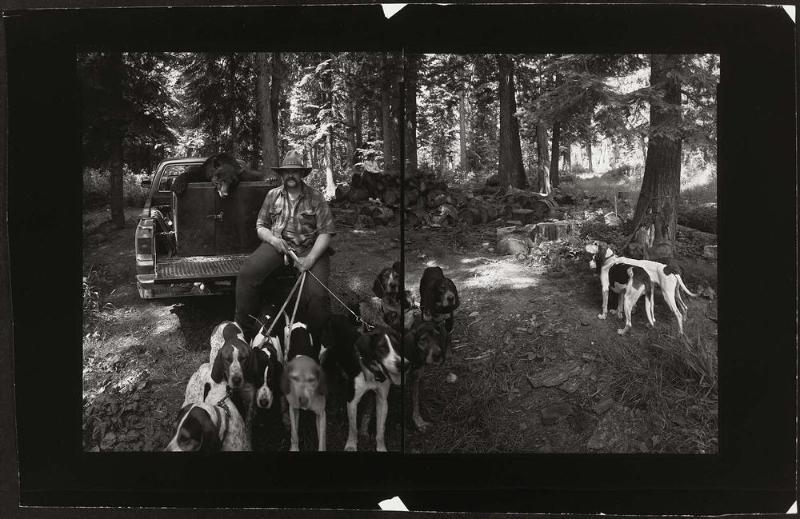 Bear Hunter, Clearwater National Forest, Idaho
