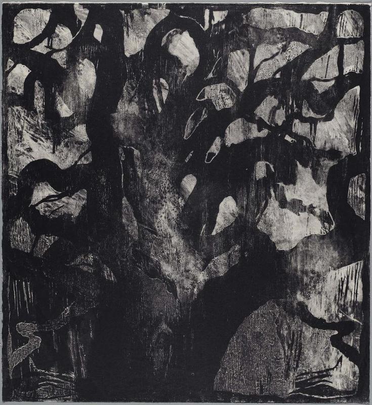 Texas Tree