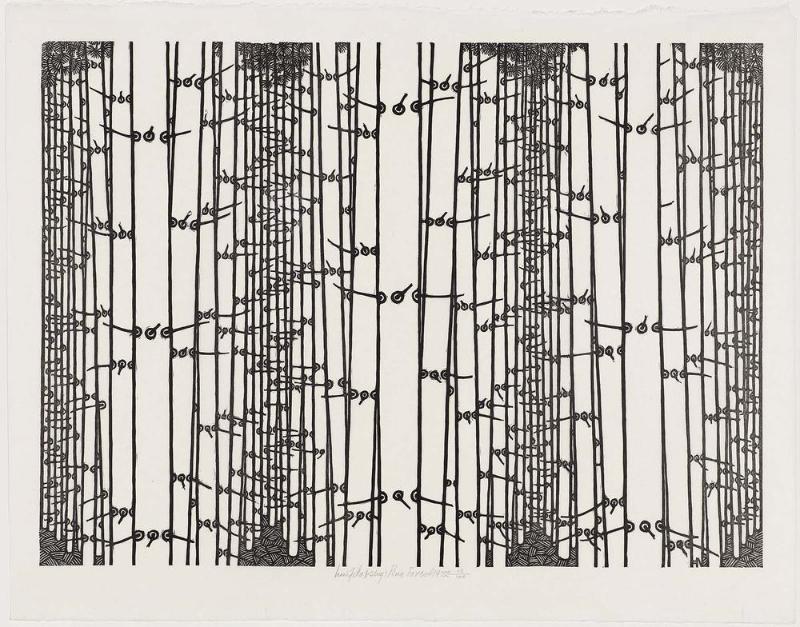 Pine Forest