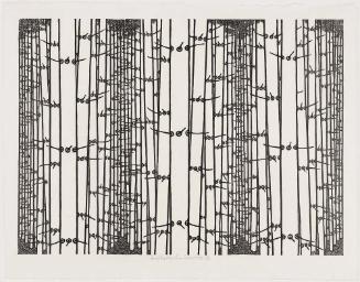 Pine Forest
