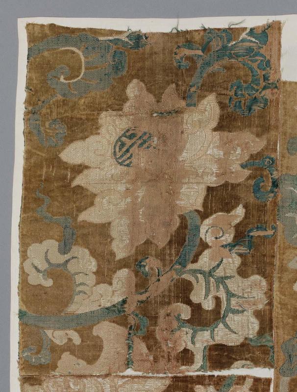 Fragment of velvet