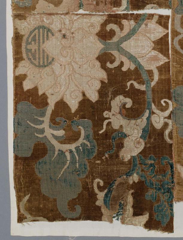 Fragment of velvet