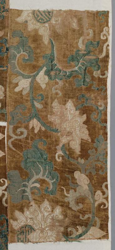Fragment of velvet