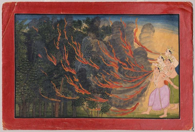 The Pracetas Ignite the Forest
